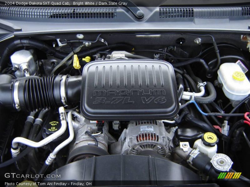 Bright White / Dark Slate Gray 2004 Dodge Dakota SXT Quad Cab