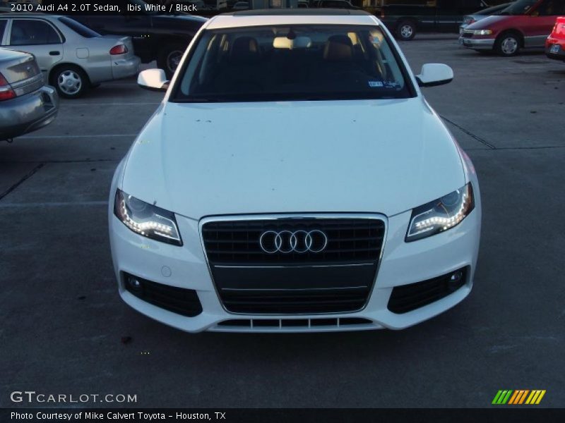 Ibis White / Black 2010 Audi A4 2.0T Sedan
