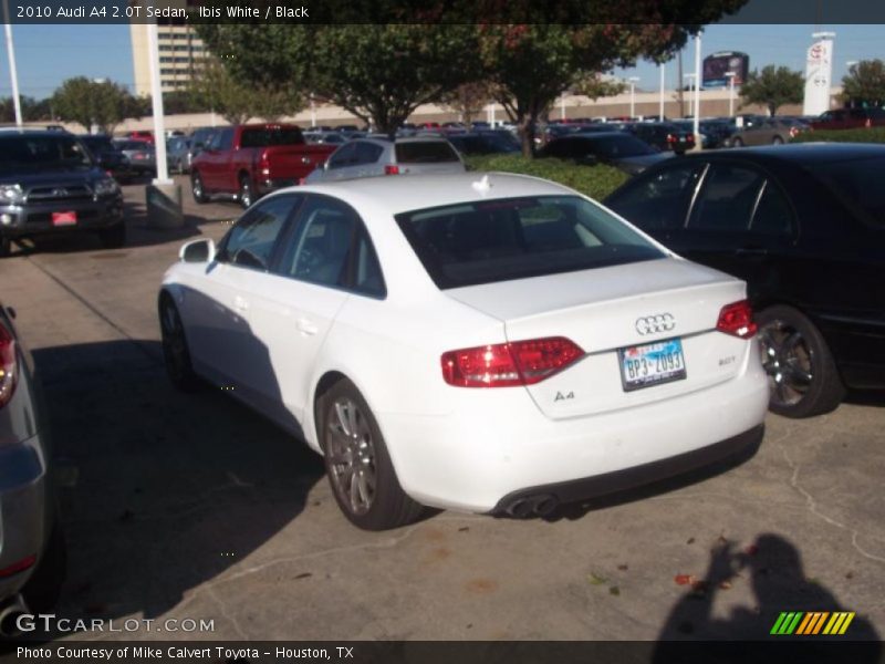 Ibis White / Black 2010 Audi A4 2.0T Sedan