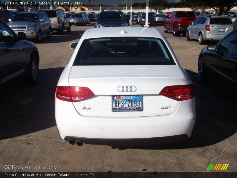 Ibis White / Black 2010 Audi A4 2.0T Sedan