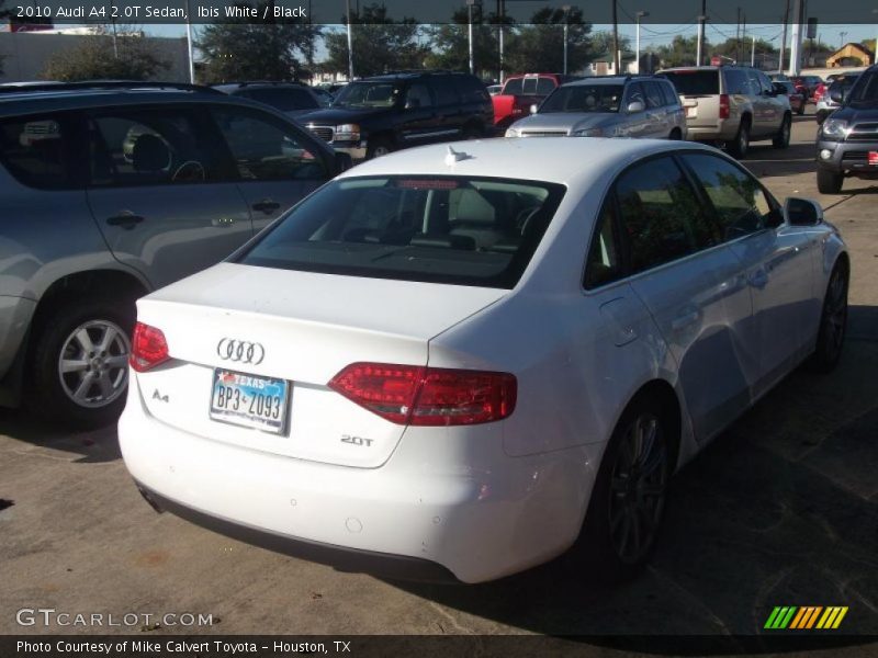 Ibis White / Black 2010 Audi A4 2.0T Sedan