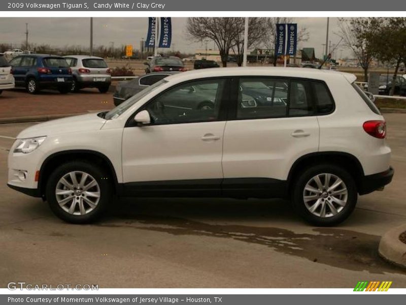 Candy White / Clay Grey 2009 Volkswagen Tiguan S