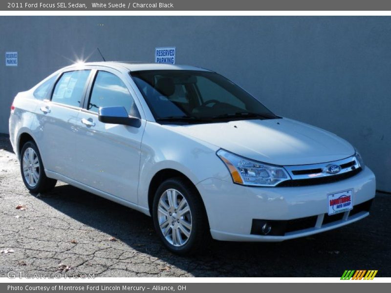 White Suede / Charcoal Black 2011 Ford Focus SEL Sedan