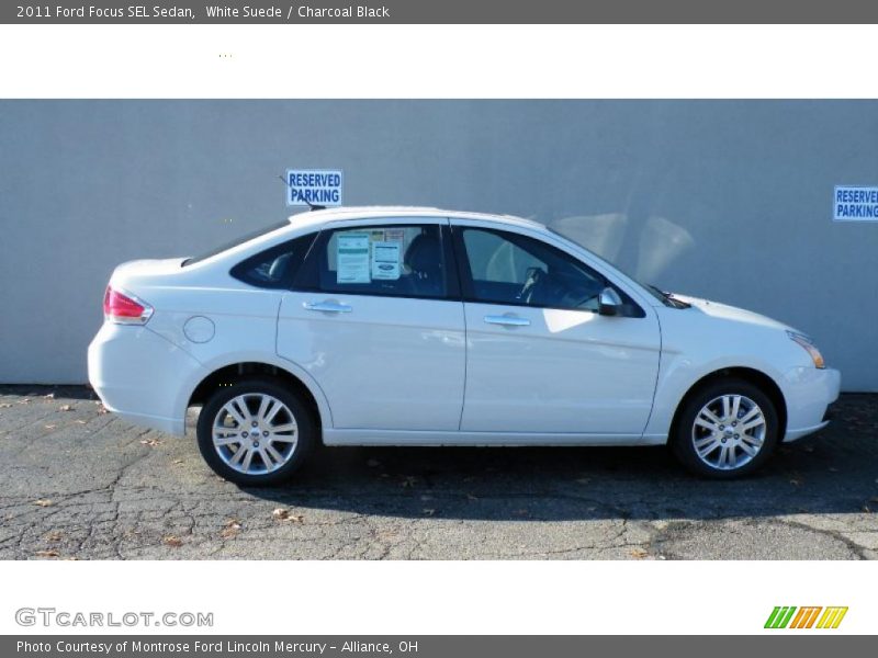White Suede / Charcoal Black 2011 Ford Focus SEL Sedan