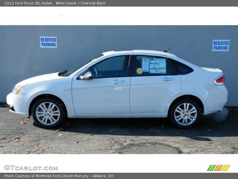 White Suede / Charcoal Black 2011 Ford Focus SEL Sedan