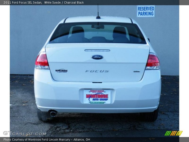 White Suede / Charcoal Black 2011 Ford Focus SEL Sedan