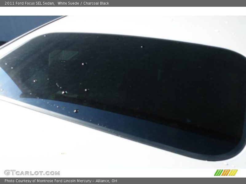 White Suede / Charcoal Black 2011 Ford Focus SEL Sedan