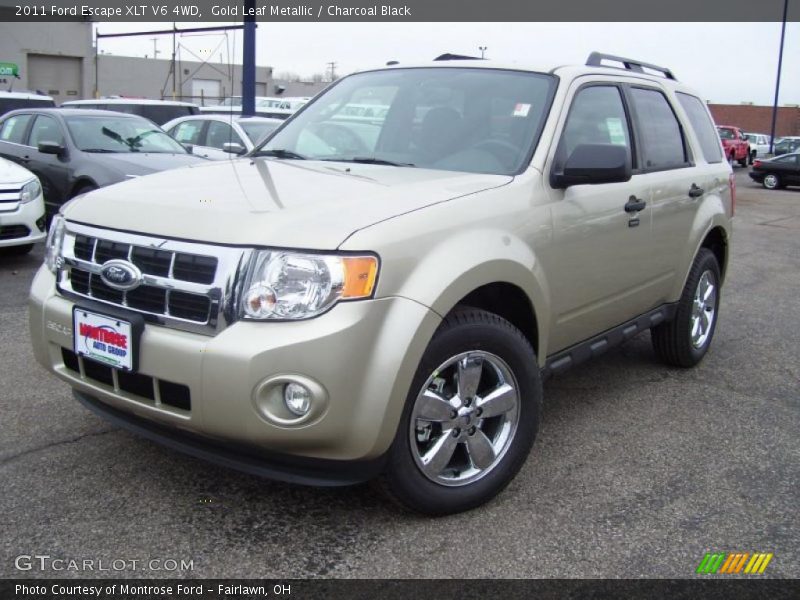 Gold Leaf Metallic / Charcoal Black 2011 Ford Escape XLT V6 4WD