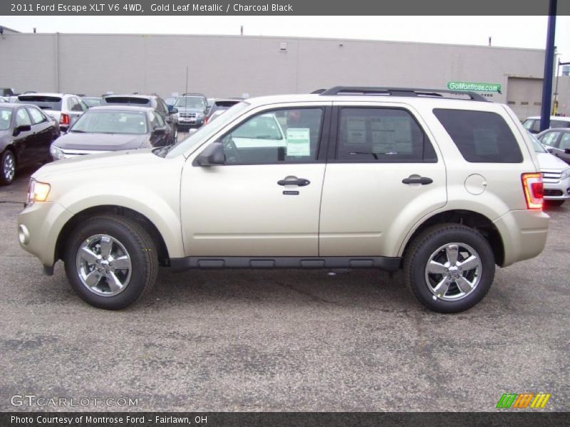  2011 Escape XLT V6 4WD Gold Leaf Metallic