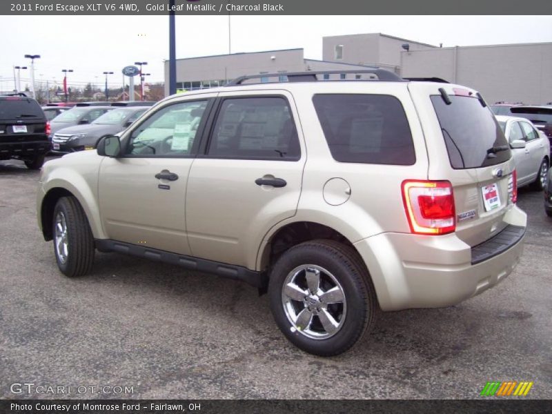 Gold Leaf Metallic / Charcoal Black 2011 Ford Escape XLT V6 4WD