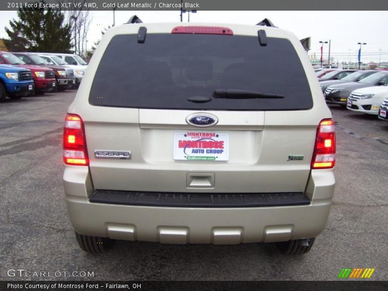 Gold Leaf Metallic / Charcoal Black 2011 Ford Escape XLT V6 4WD