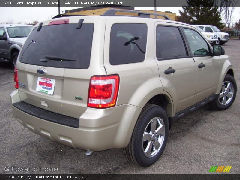 Gold Leaf Metallic / Charcoal Black 2011 Ford Escape XLT V6 4WD