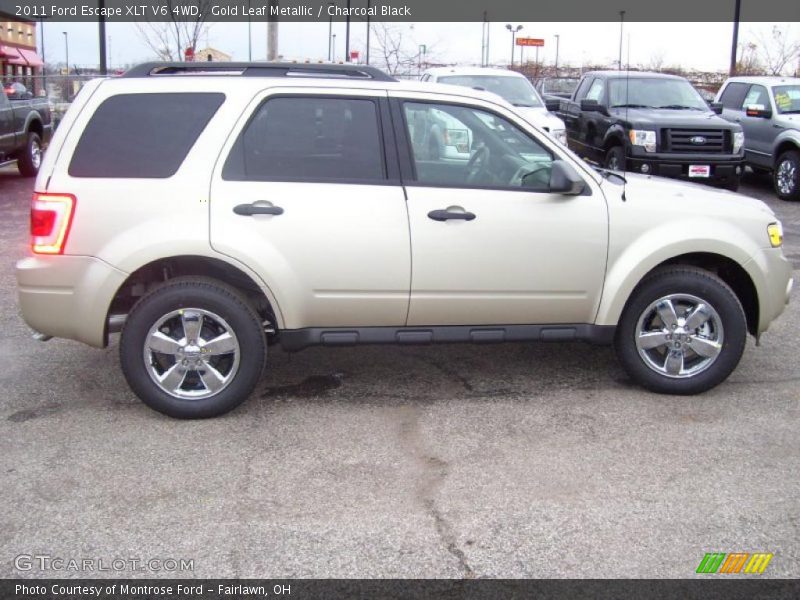 Gold Leaf Metallic / Charcoal Black 2011 Ford Escape XLT V6 4WD