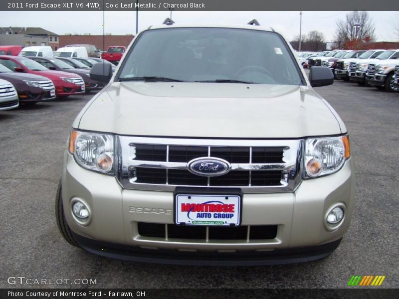 Gold Leaf Metallic / Charcoal Black 2011 Ford Escape XLT V6 4WD