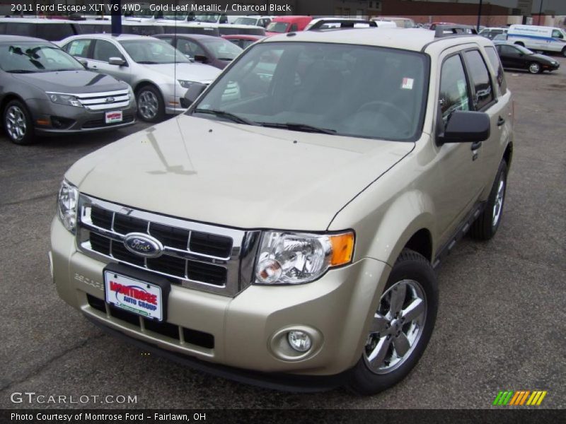Gold Leaf Metallic / Charcoal Black 2011 Ford Escape XLT V6 4WD