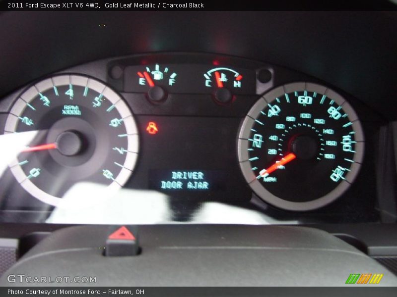 Gold Leaf Metallic / Charcoal Black 2011 Ford Escape XLT V6 4WD