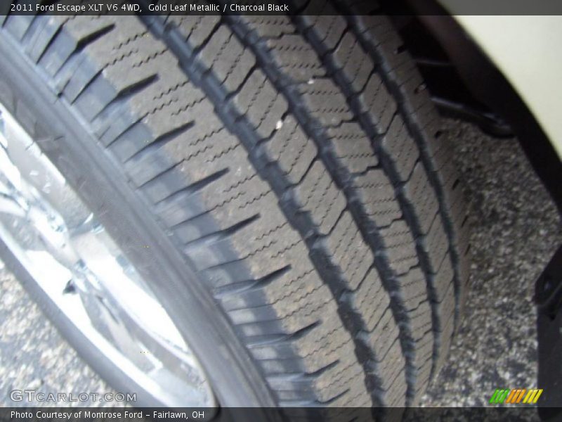 Gold Leaf Metallic / Charcoal Black 2011 Ford Escape XLT V6 4WD