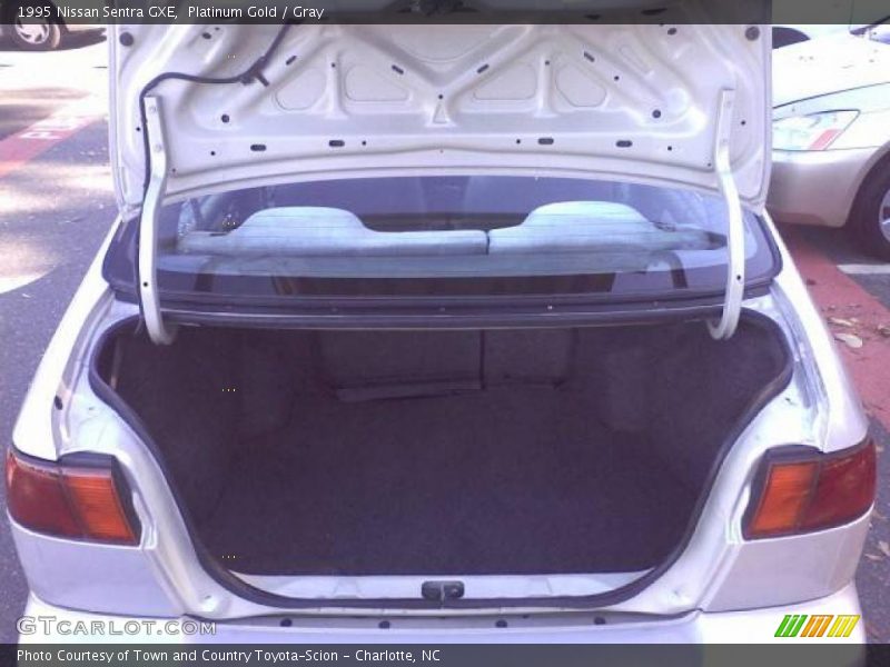 Platinum Gold / Gray 1995 Nissan Sentra GXE