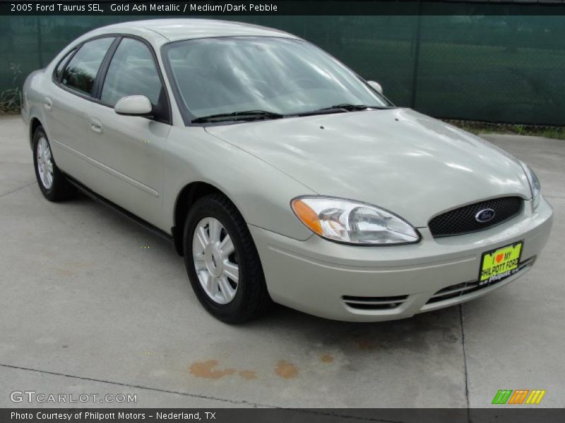 Gold Ash Metallic / Medium/Dark Pebble 2005 Ford Taurus SEL