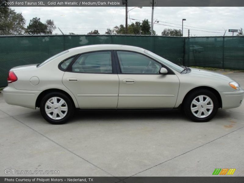 Gold Ash Metallic / Medium/Dark Pebble 2005 Ford Taurus SEL