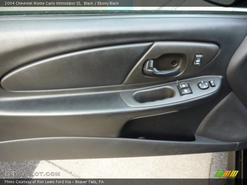 Door Panel of 2004 Monte Carlo Intimidator SS