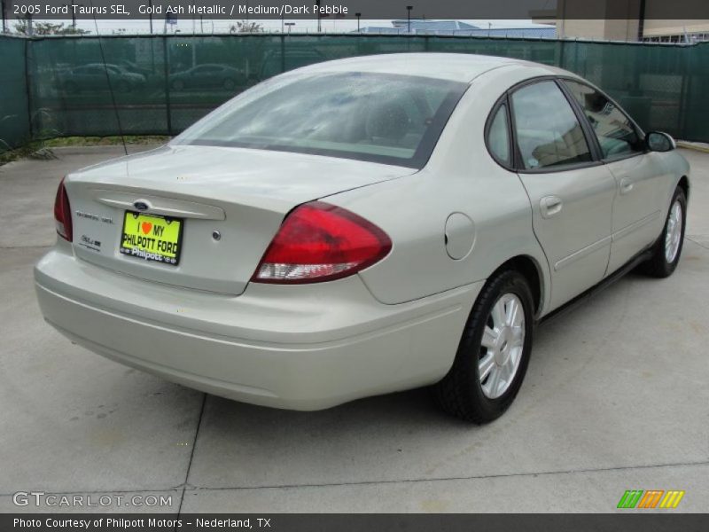 Gold Ash Metallic / Medium/Dark Pebble 2005 Ford Taurus SEL