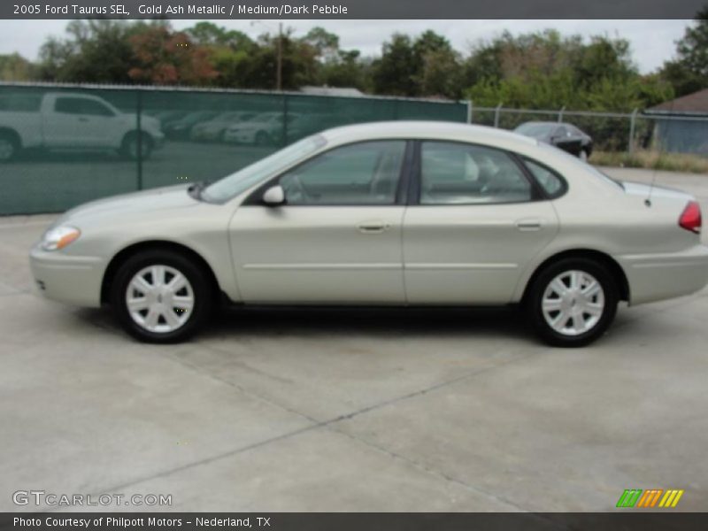 Gold Ash Metallic / Medium/Dark Pebble 2005 Ford Taurus SEL