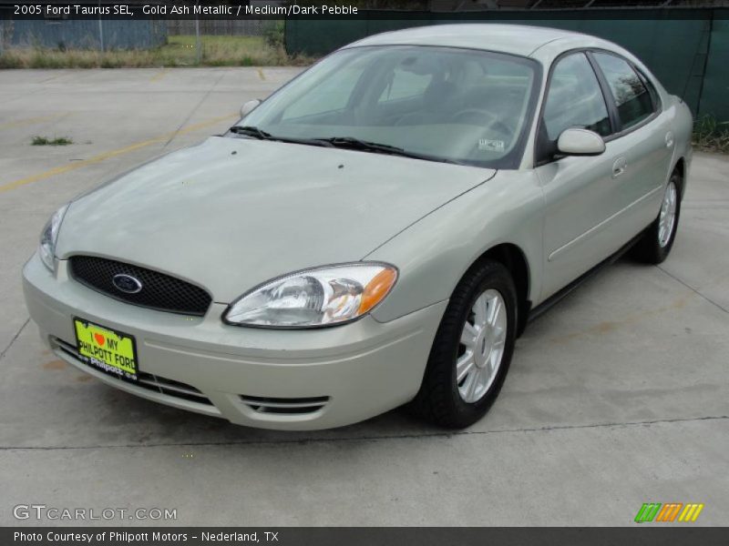 Gold Ash Metallic / Medium/Dark Pebble 2005 Ford Taurus SEL