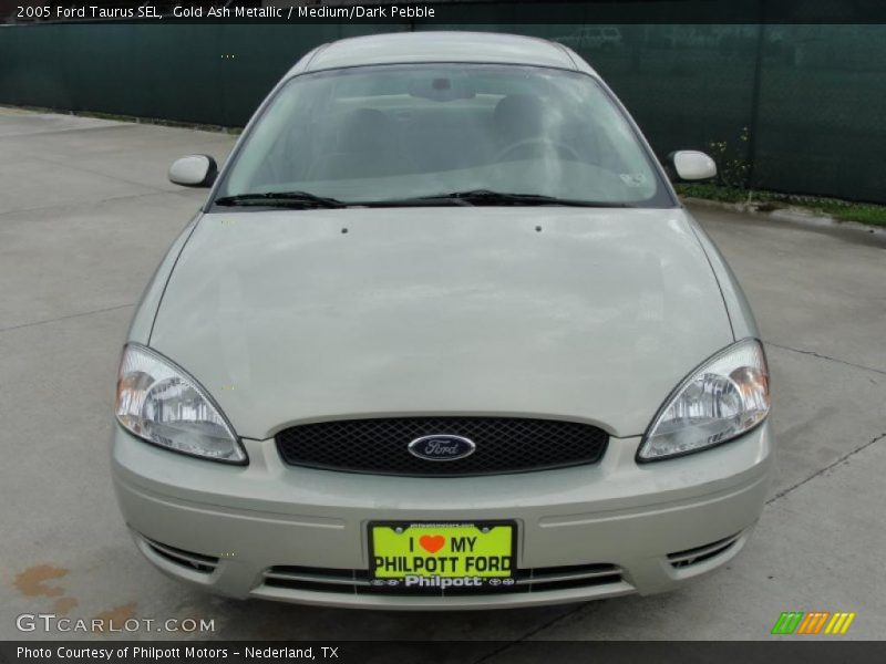 Gold Ash Metallic / Medium/Dark Pebble 2005 Ford Taurus SEL