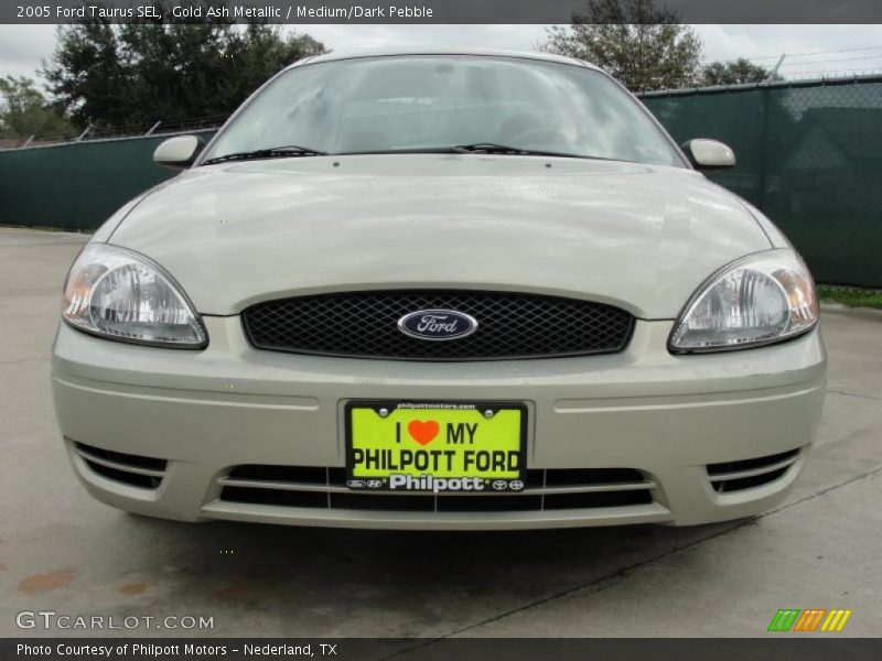 Gold Ash Metallic / Medium/Dark Pebble 2005 Ford Taurus SEL