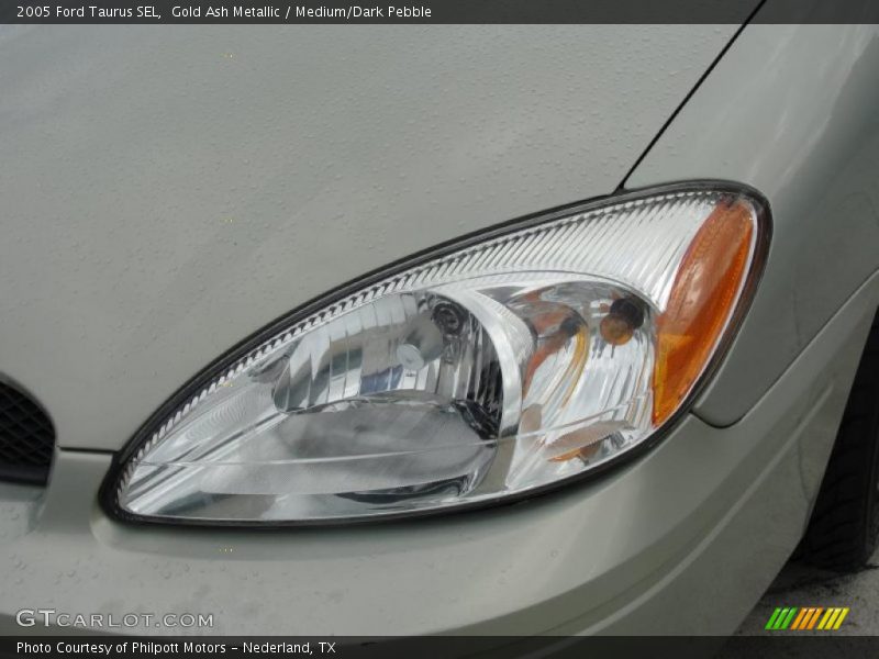 Gold Ash Metallic / Medium/Dark Pebble 2005 Ford Taurus SEL