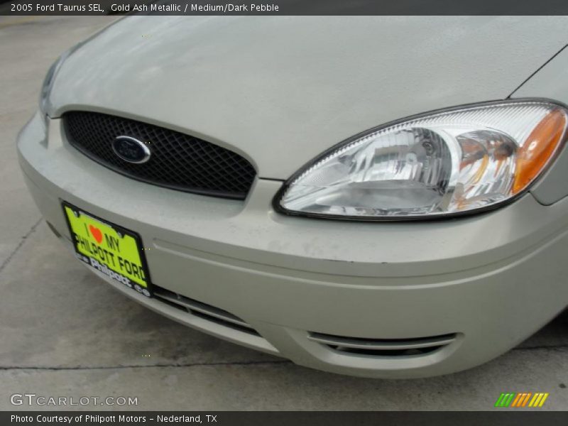 Gold Ash Metallic / Medium/Dark Pebble 2005 Ford Taurus SEL