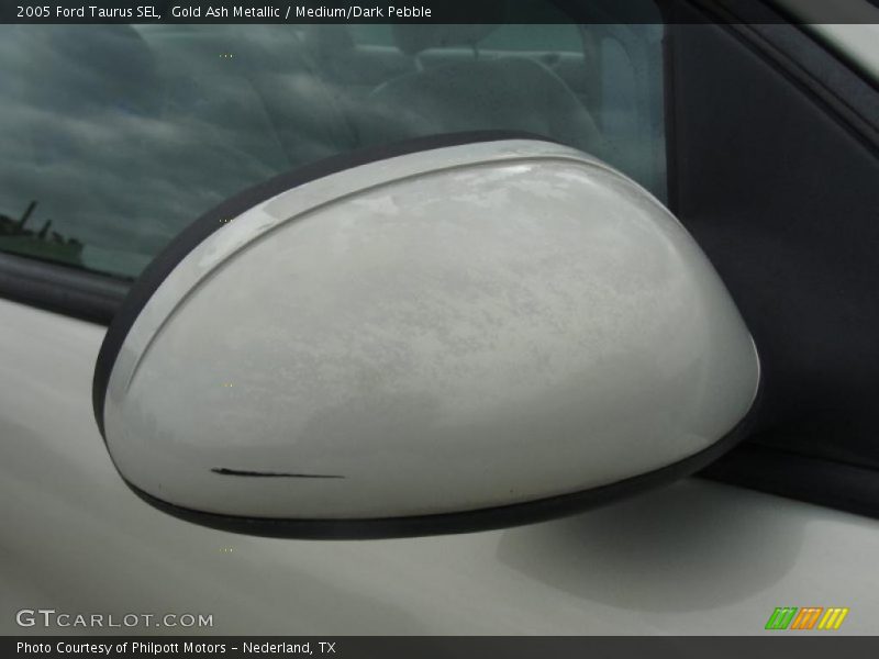 Gold Ash Metallic / Medium/Dark Pebble 2005 Ford Taurus SEL