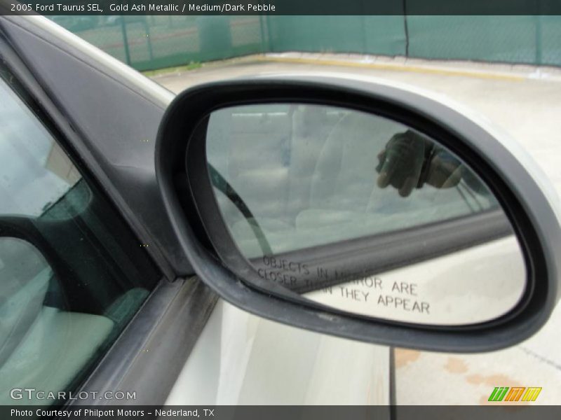 Gold Ash Metallic / Medium/Dark Pebble 2005 Ford Taurus SEL