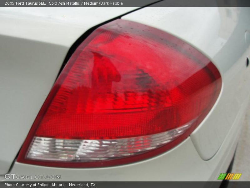 Gold Ash Metallic / Medium/Dark Pebble 2005 Ford Taurus SEL