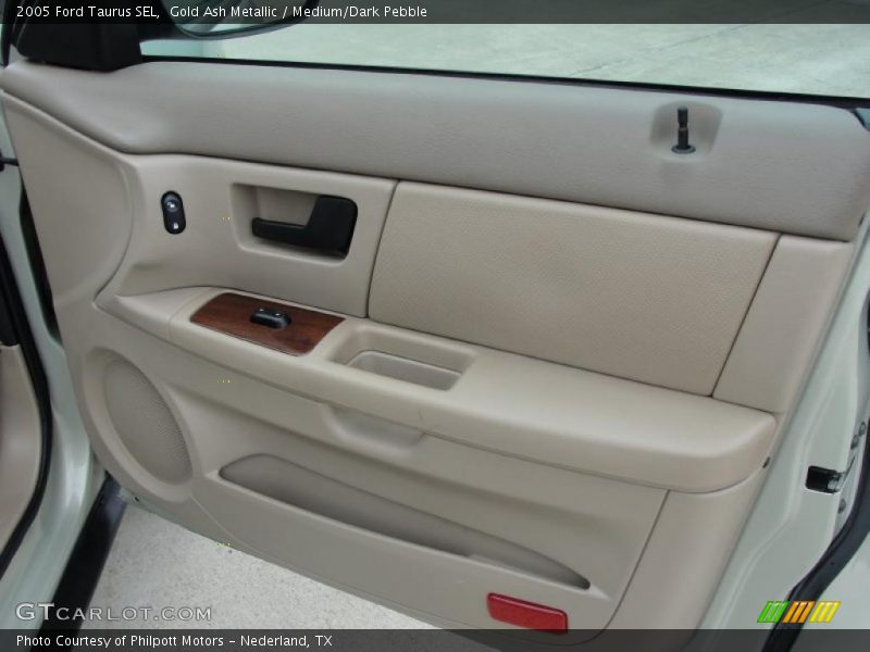 Door Panel of 2005 Taurus SEL