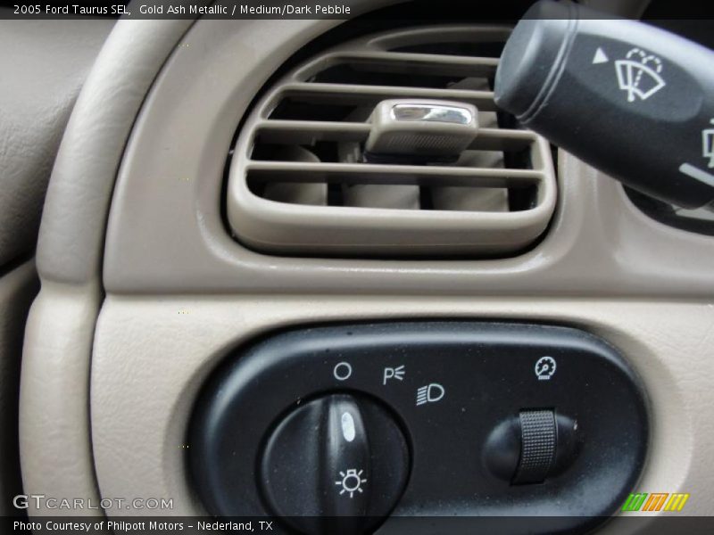 Gold Ash Metallic / Medium/Dark Pebble 2005 Ford Taurus SEL