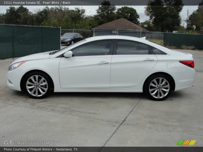 Pearl White / Black 2011 Hyundai Sonata SE