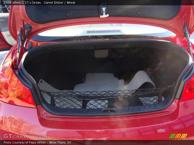 Garnet Ember / Wheat 2009 Infiniti G 37 x Sedan