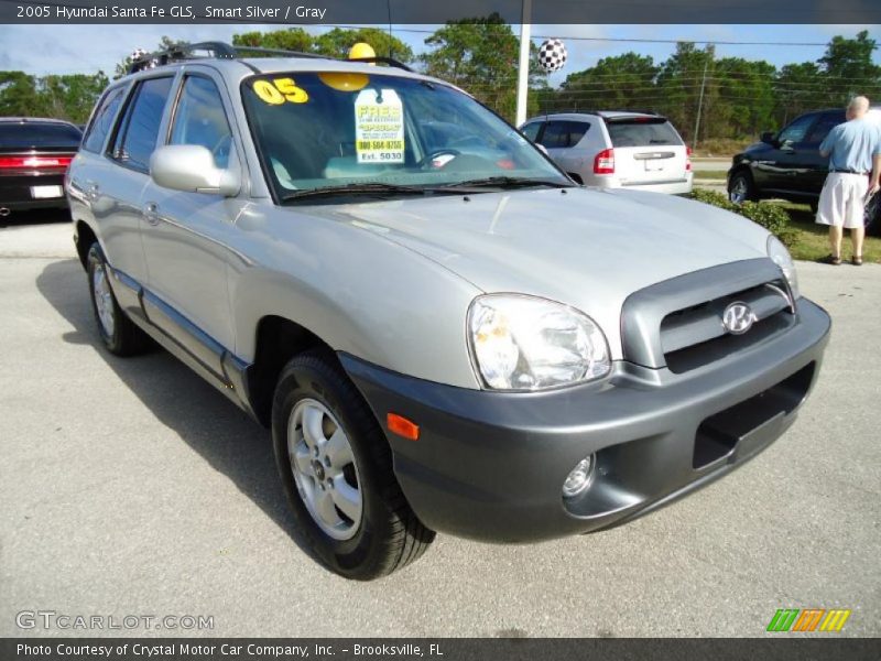 Smart Silver / Gray 2005 Hyundai Santa Fe GLS