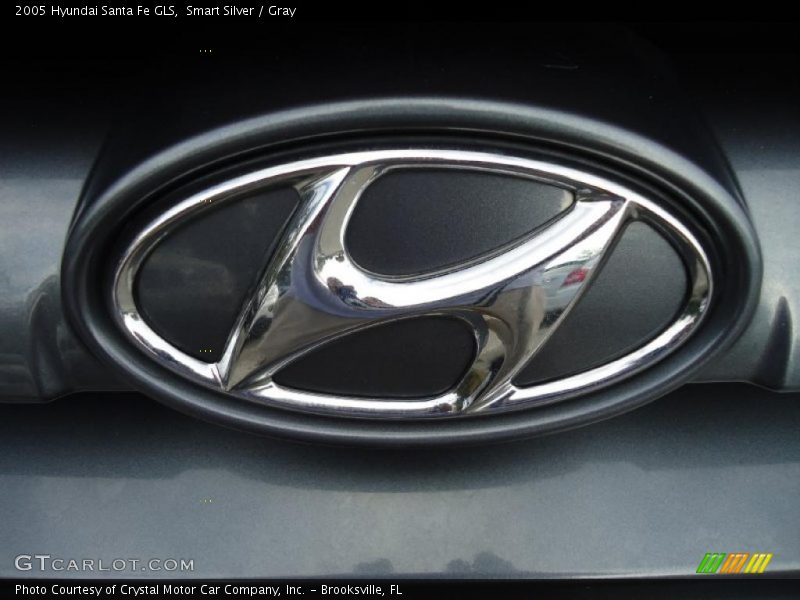 Smart Silver / Gray 2005 Hyundai Santa Fe GLS