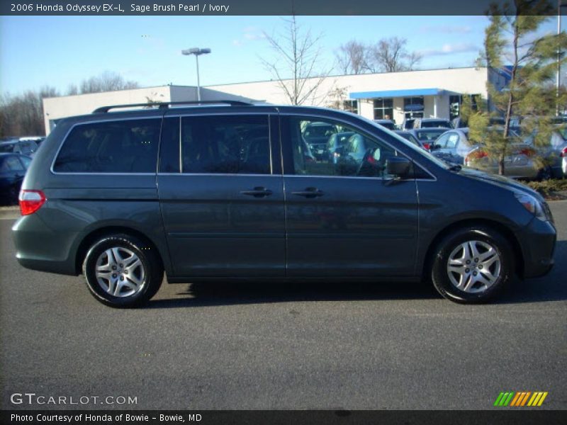 Sage Brush Pearl / Ivory 2006 Honda Odyssey EX-L