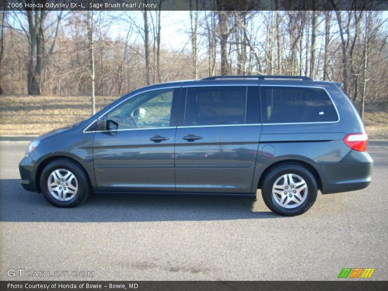 Sage Brush Pearl / Ivory 2006 Honda Odyssey EX-L