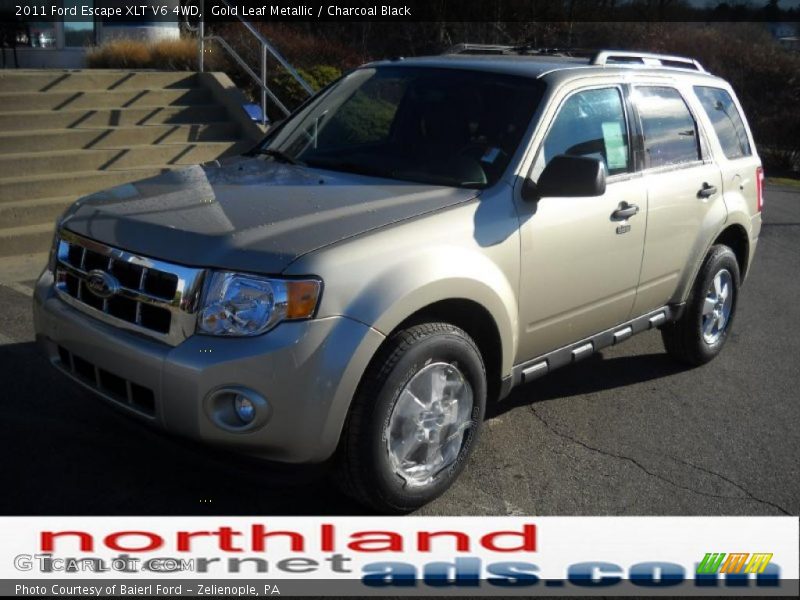 Gold Leaf Metallic / Charcoal Black 2011 Ford Escape XLT V6 4WD