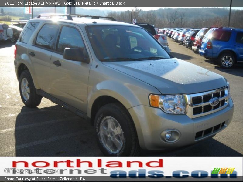 Gold Leaf Metallic / Charcoal Black 2011 Ford Escape XLT V6 4WD