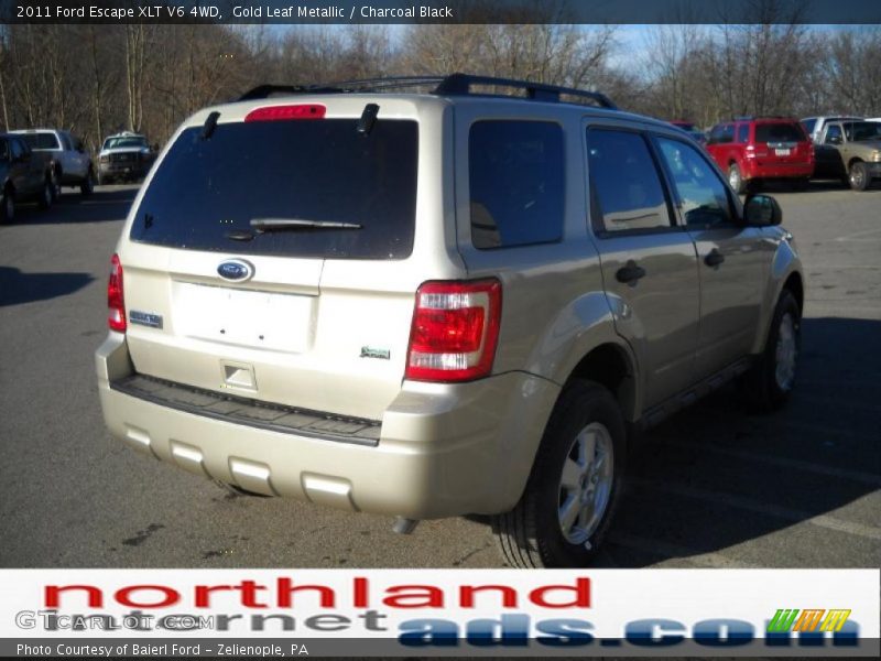 Gold Leaf Metallic / Charcoal Black 2011 Ford Escape XLT V6 4WD