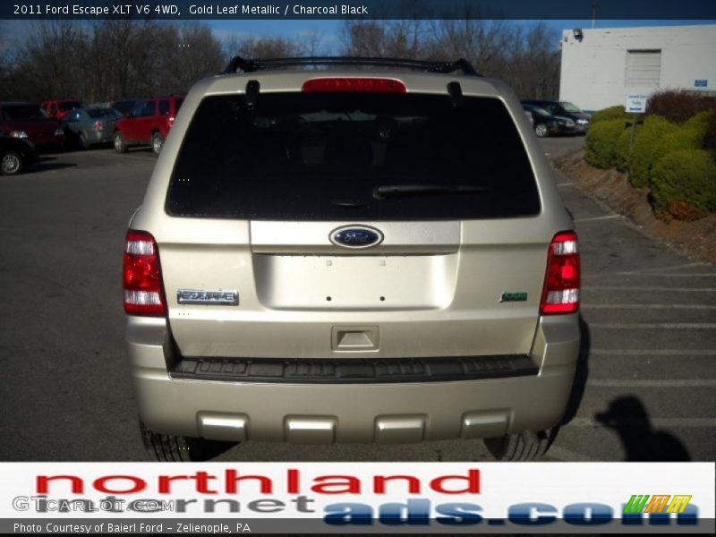 Gold Leaf Metallic / Charcoal Black 2011 Ford Escape XLT V6 4WD