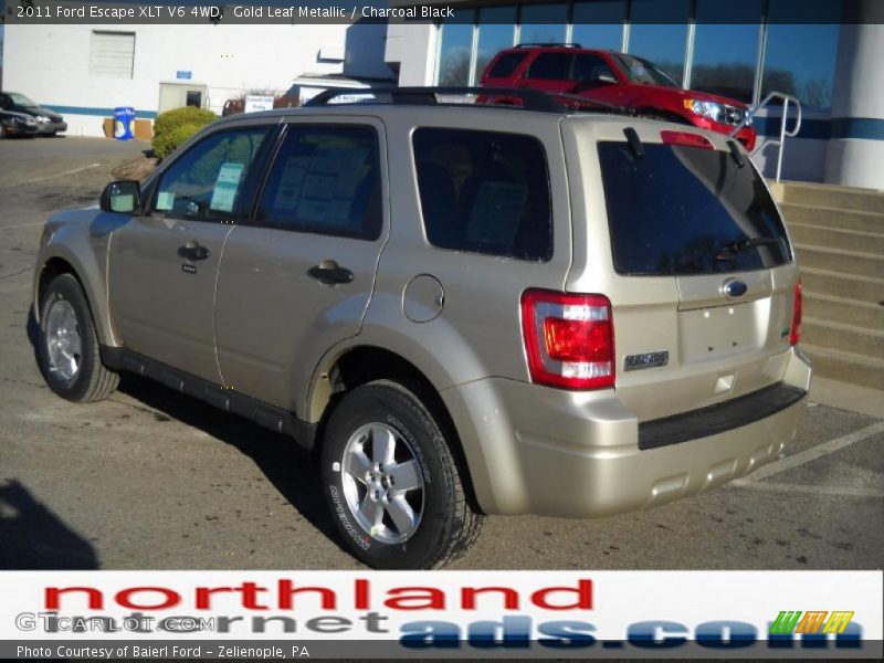 Gold Leaf Metallic / Charcoal Black 2011 Ford Escape XLT V6 4WD