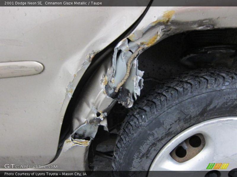 Cinnamon Glaze Metallic / Taupe 2001 Dodge Neon SE