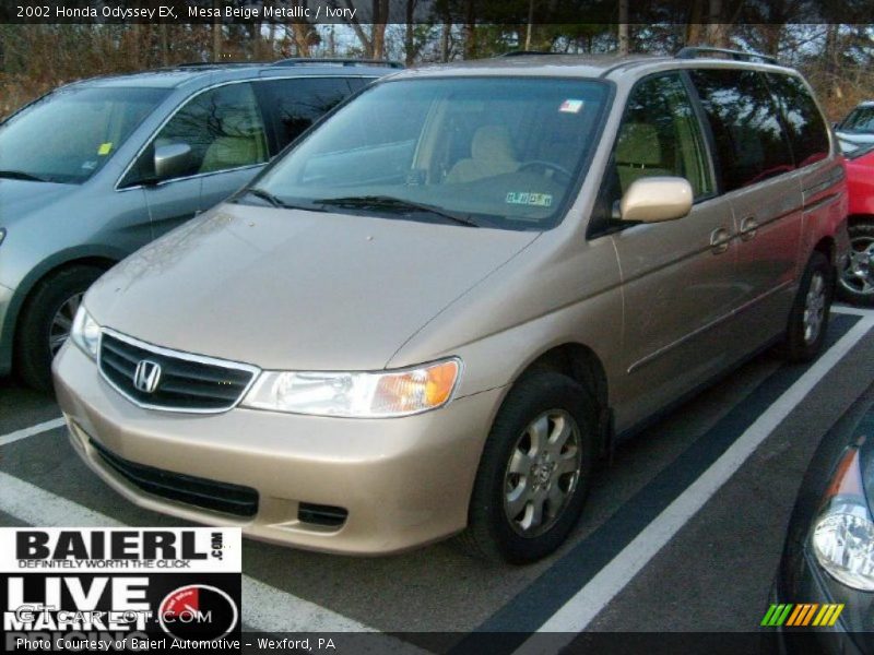Mesa Beige Metallic / Ivory 2002 Honda Odyssey EX
